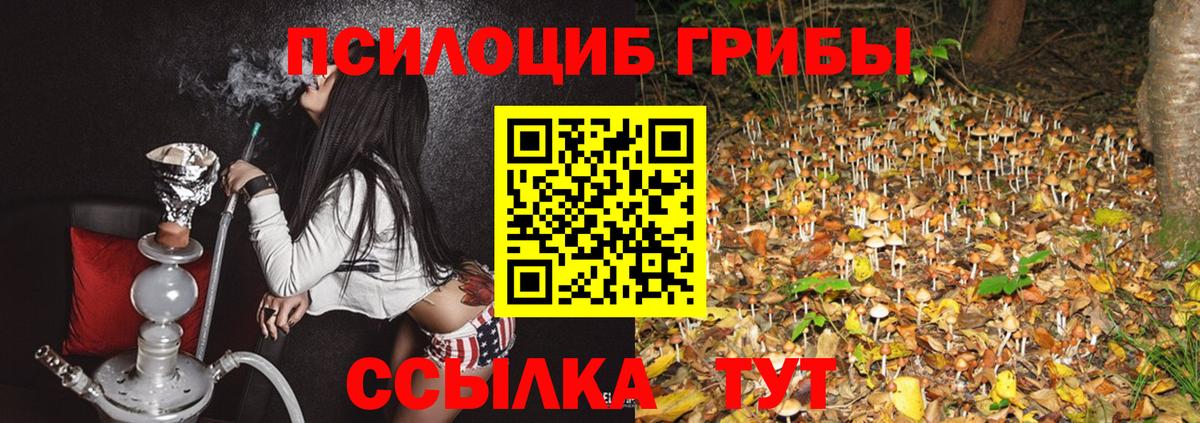 Псилоцибиновые грибы Psilocybine cubensis  Галлюциногенные грибы Cubensis  что такое   Вход с VPN  Каспийск 